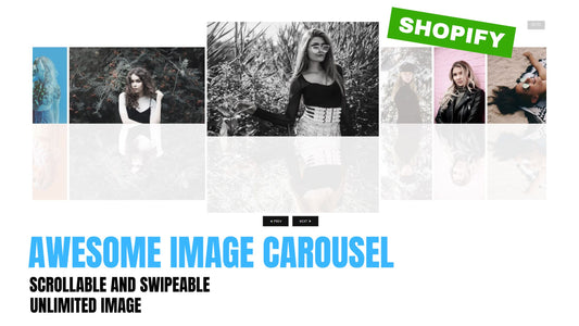 Shopify Gallery Carousel Section for Page